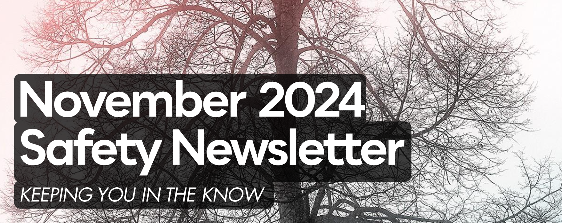 November 2024 Safety & Security Newsletter