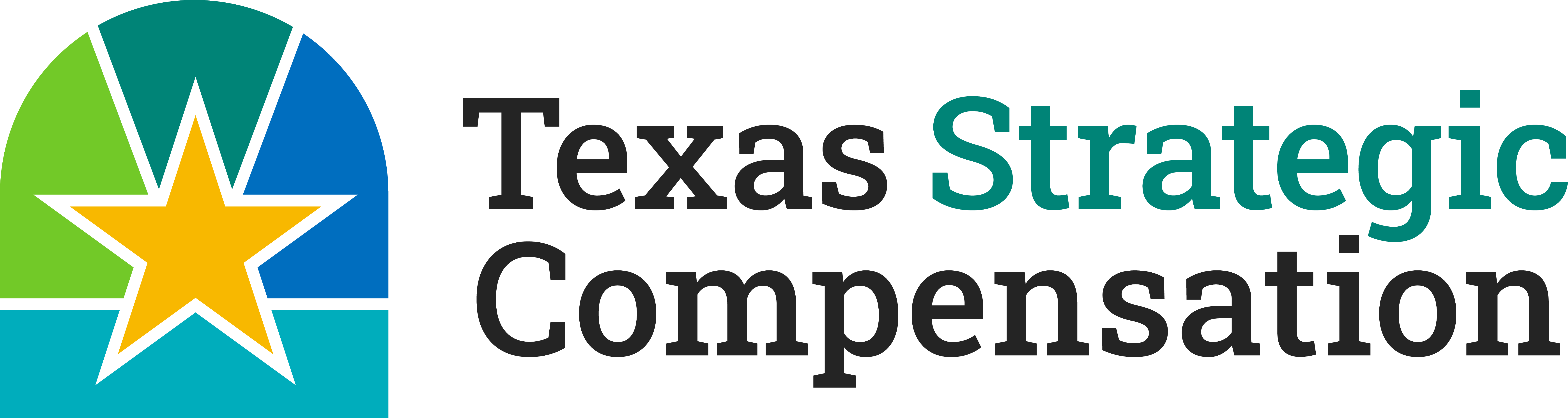 Texas Strategic Compensation logo