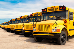 Row of school buses