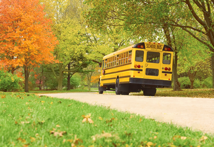 School bus driving in Autumn
